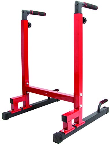 2. BalanceFrom Dip Stand