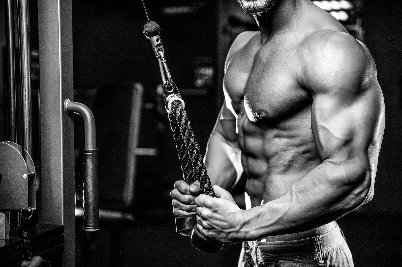 Back And Triceps Workout: Blow Up Your Upper Body!