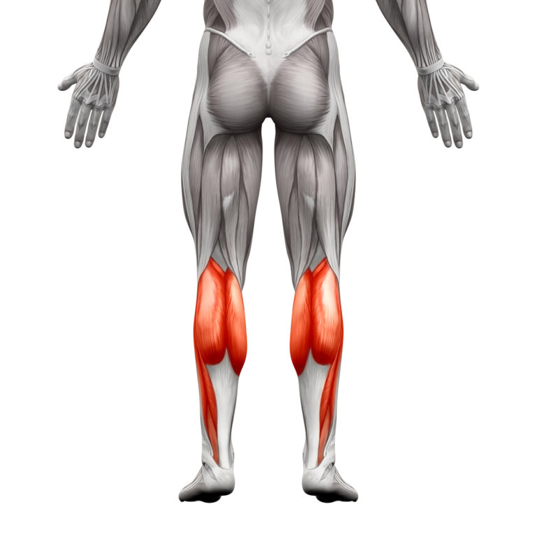 How To Target Inner Calves