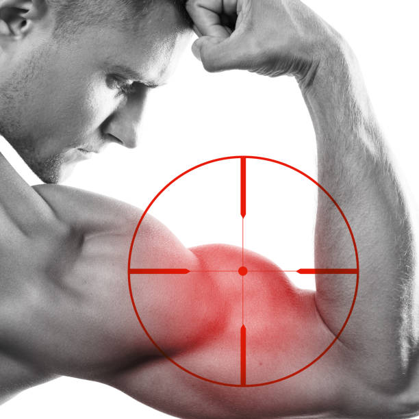 How To Target Your Outer Biceps To Build Bulging Biceps