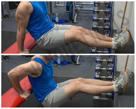 How To: Bench Dips