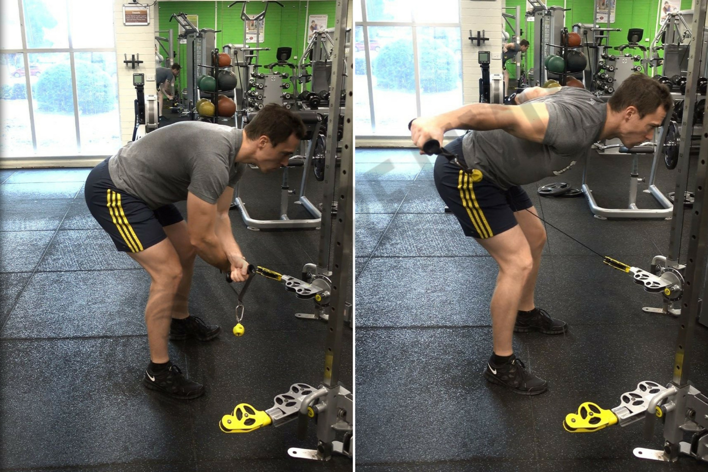 3 Effective Rear Delt Exercises To Stack On Mass!