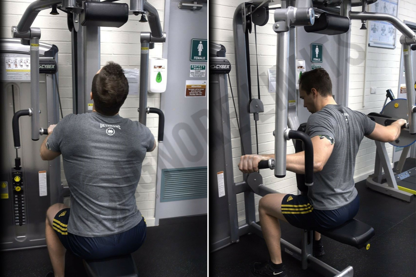 How To: Reverse Pec Deck Fly (Rear Delt Fly)