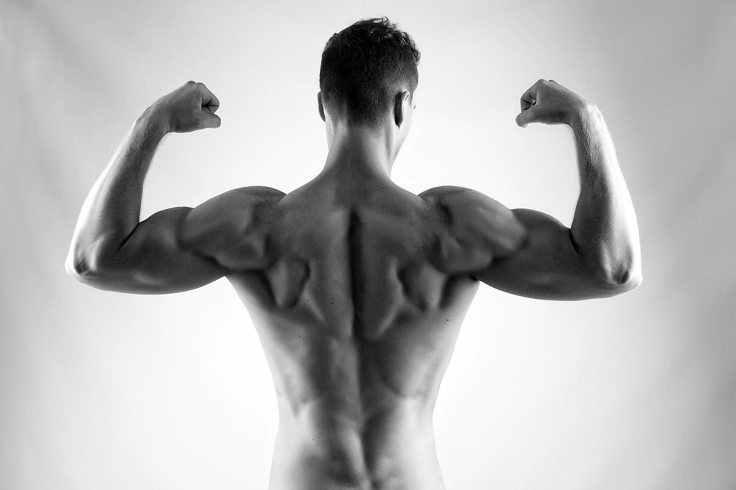 The Best Back Exercises for Mass – Build A Badass Back!