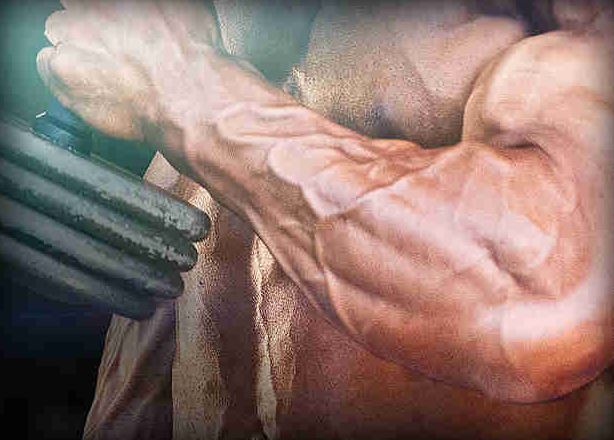 4 Forearm Exercises To Build Up Small & Weak Forearms