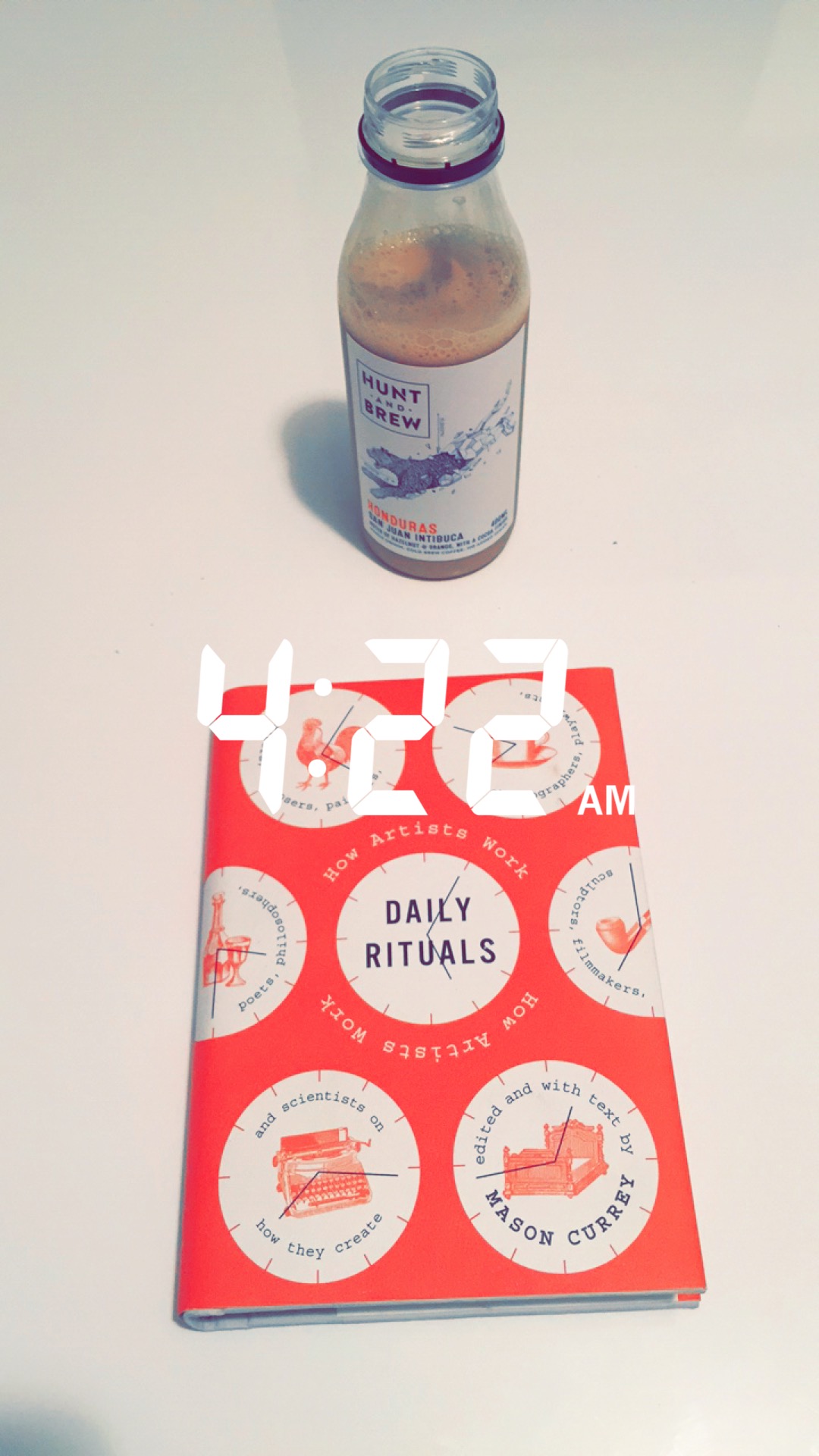Daily Rituals How Artists Work Review
