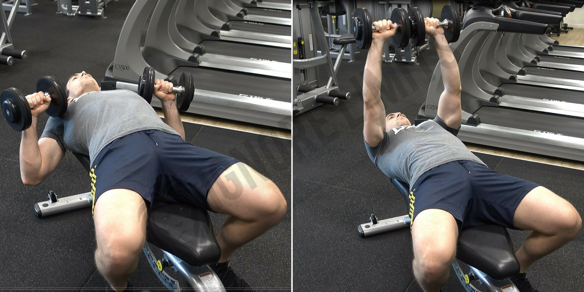 How To: Dumbbell Bench Press