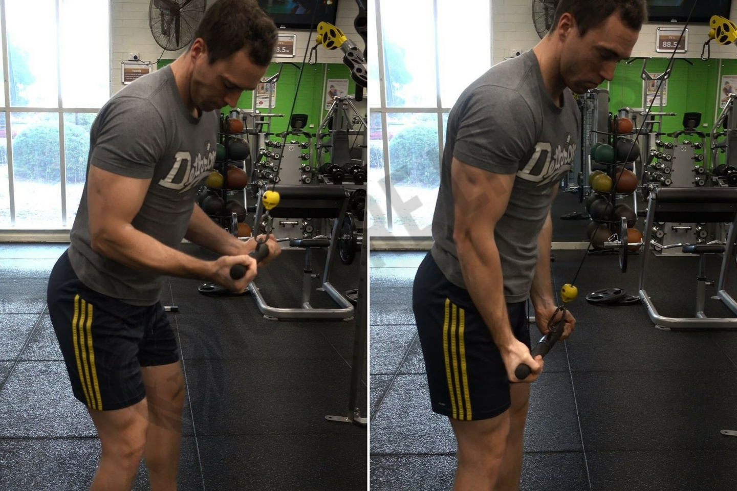 How To: Reverse Grip Triceps Pushdown