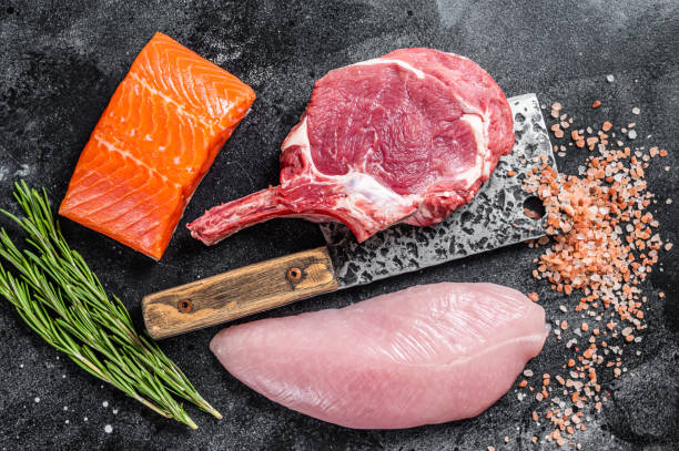The Carnivore Code Review: My Notes & Summary