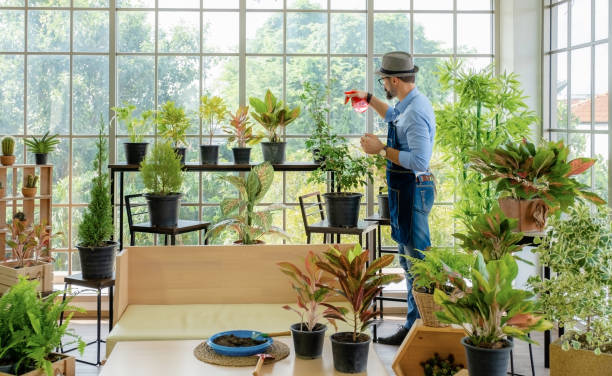Why You Need To Fill Your House With Plants (With Studies!)