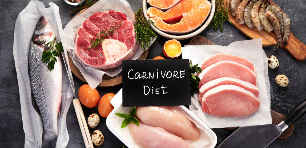 My Carnivore Diet Experiment