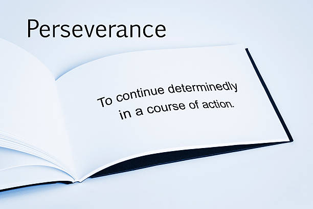 Stickability Book Review: The Power of Perseverance