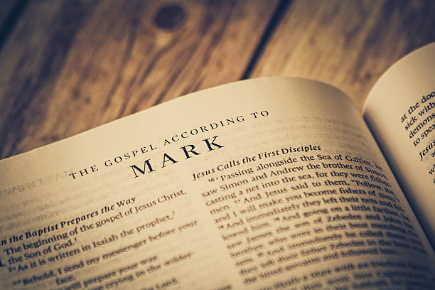 Born To Fight: Mark Hunt Book Review