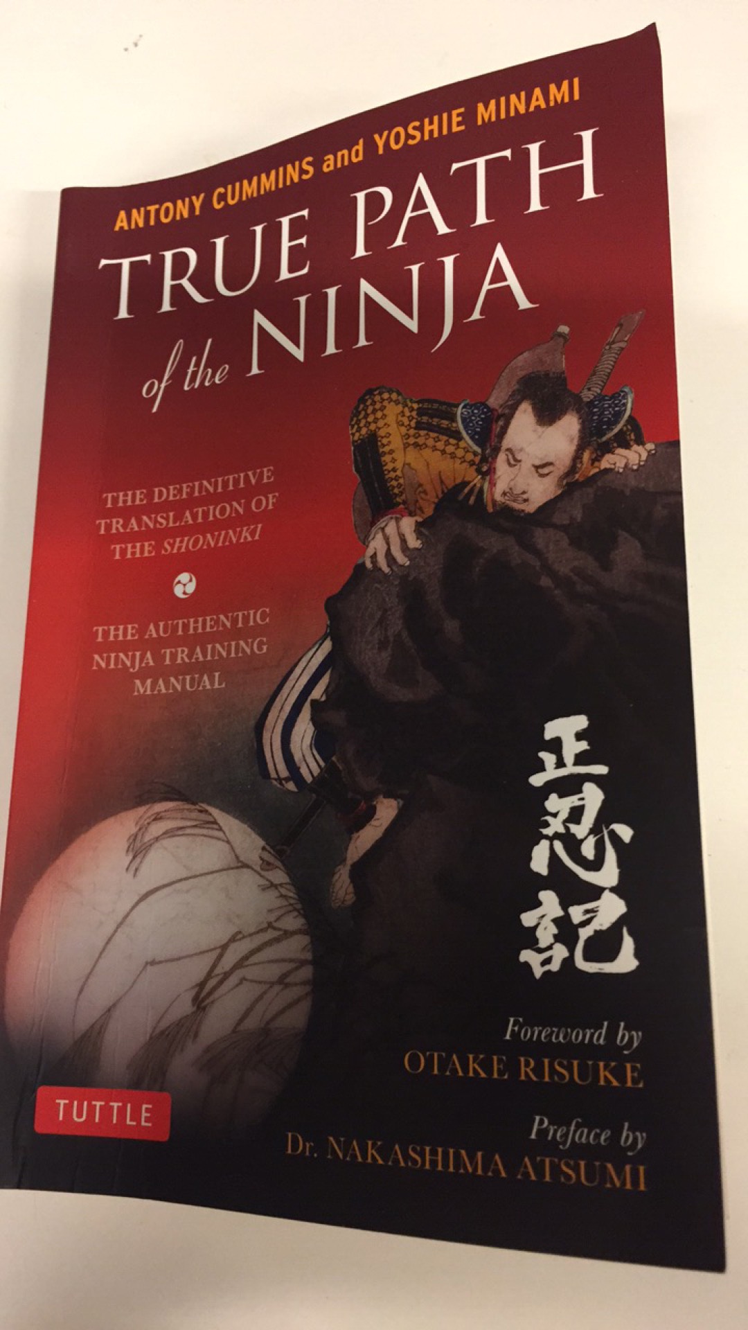 Lessons From The Ancient Ninja (True Path of the Ninja Review)