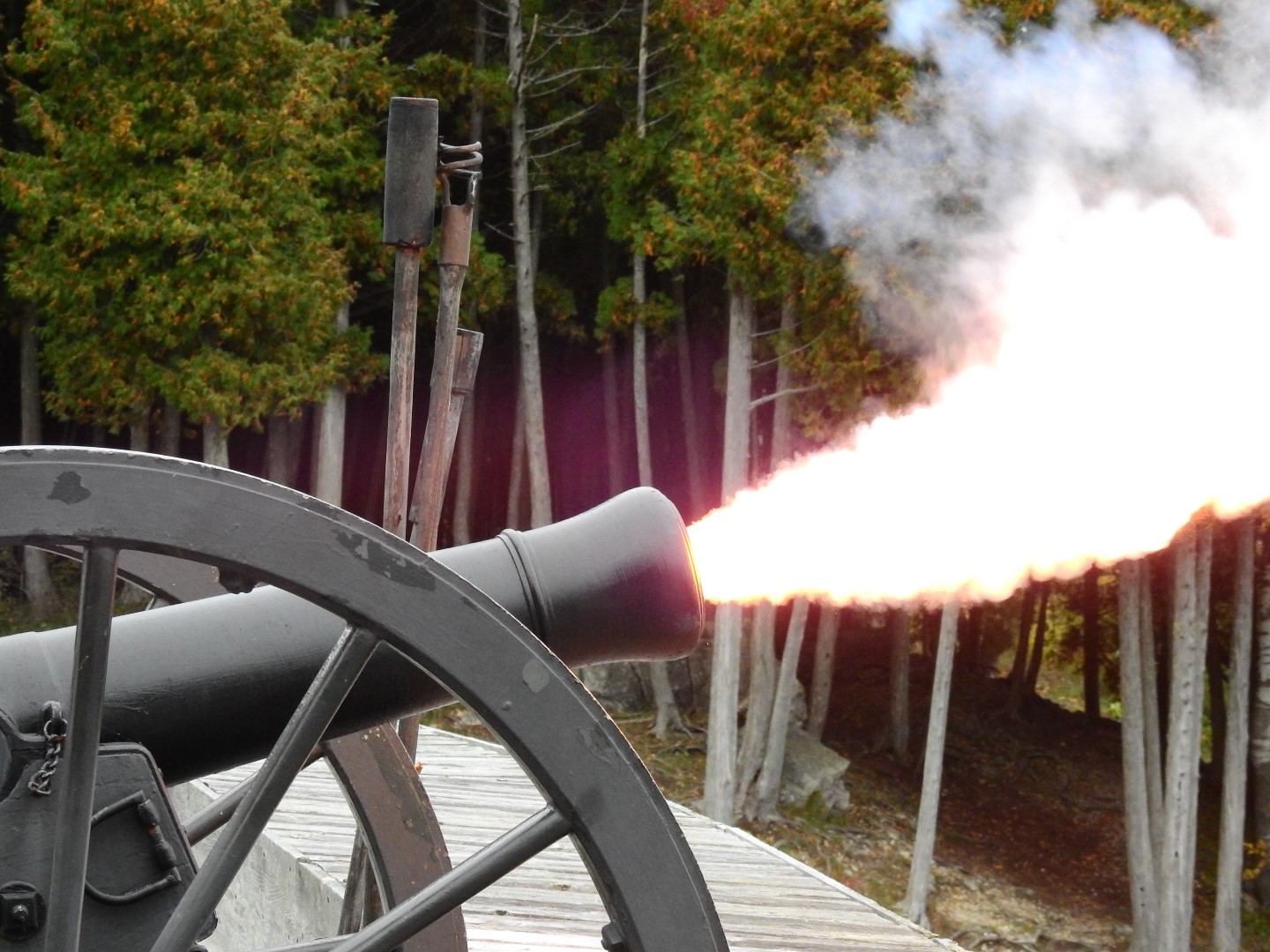 You Can’t Fire A Cannon Out Of A Canoe