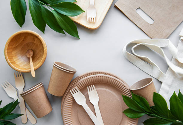 Eco-Friendly Disposable Tableware: 25 Game-Changing Picks for a Greener 2025