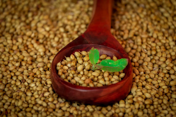 Koriandri: How This Ancient Spice Boosts Your Health