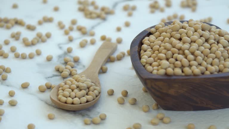 Insoya: The Plant-Based Protein Transforming Nutrition and Sustainable Living